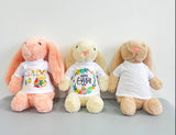 Ship from China_ Easter gift 35cm bunnies  Easter Bunny with removable Blank Sublimation shirts_GGblanks