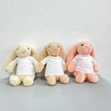 Ship from China_ Easter gift 35cm bunnies  Easter Bunny with removable Blank Sublimation shirts_GGblanks